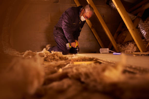 Best Insulation Installation Services in Bostonia, CA